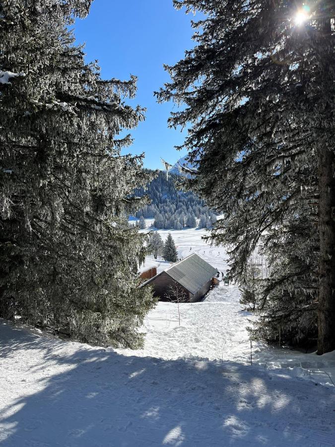Chamrousse Appart 8 Personnes Au Pied Des Pistes エクステリア 写真