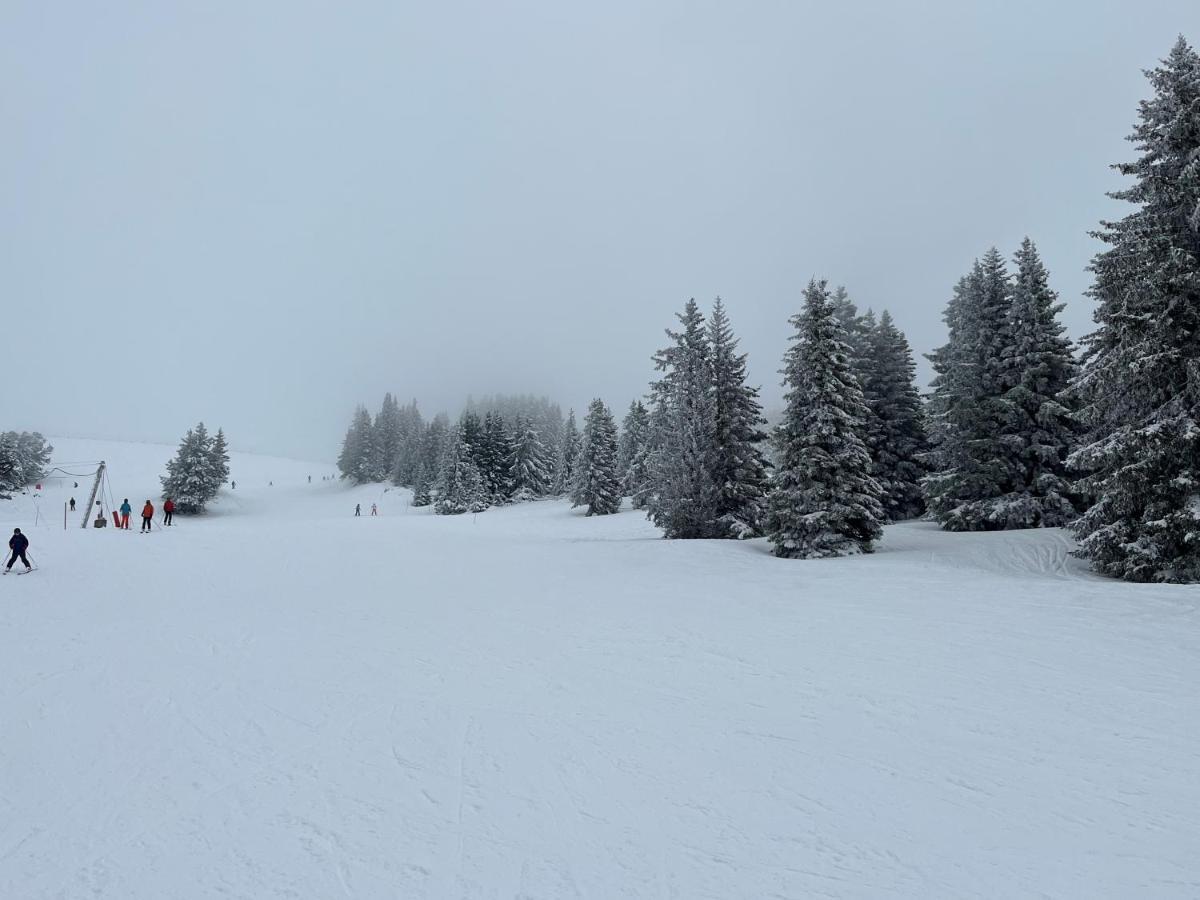 Chamrousse Appart 8 Personnes Au Pied Des Pistes エクステリア 写真