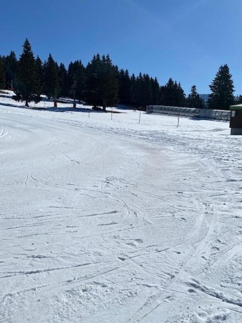 Chamrousse Appart 8 Personnes Au Pied Des Pistes エクステリア 写真